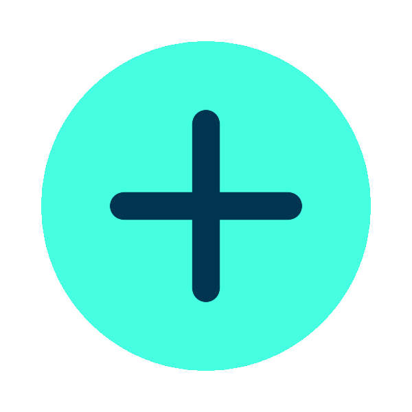 Electronic inclinometer system (ICM 100)